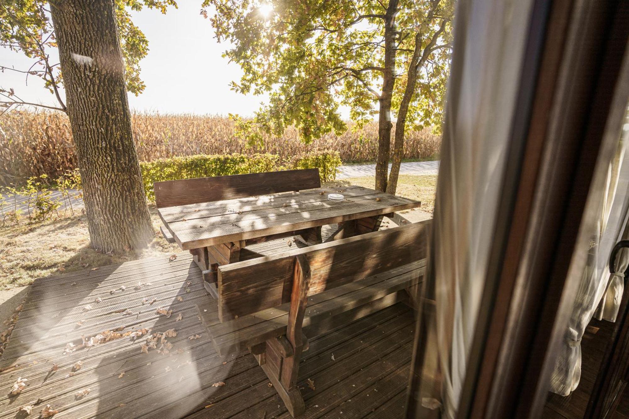Panonska Vas Villas Moravske Toplice Luaran gambar